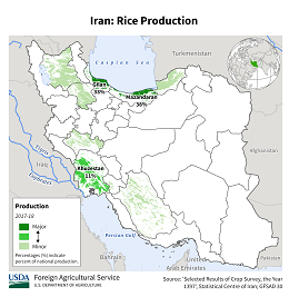 images\IR\cropprod\Iran_rice_preview.png